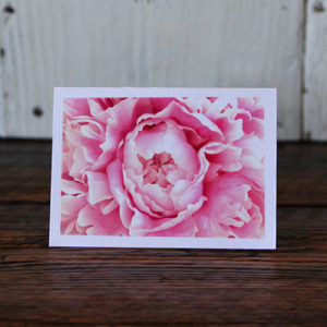 PEONY